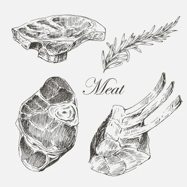 Vector carne de filete dibujo a mano con pimienta y romero. ilustración detallada de alimentos de tinta — Vector de stock