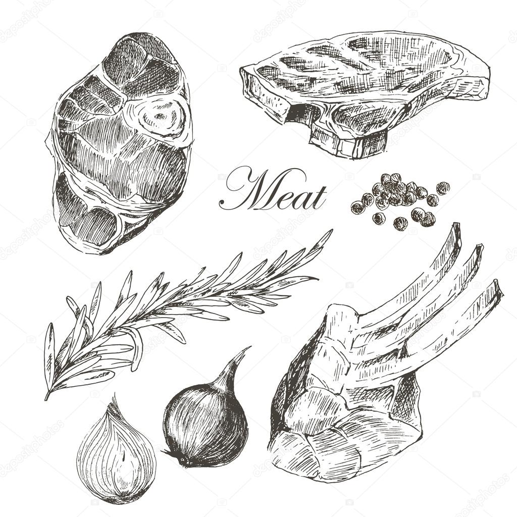 vector steak meat hand drawing with pepper and rosemary. detailed ink food illustration