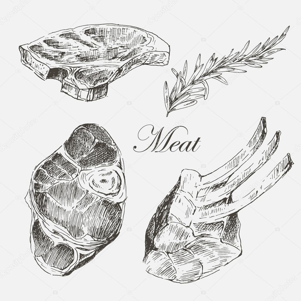 vector steak meat hand drawing with pepper and rosemary. detailed ink food illustration