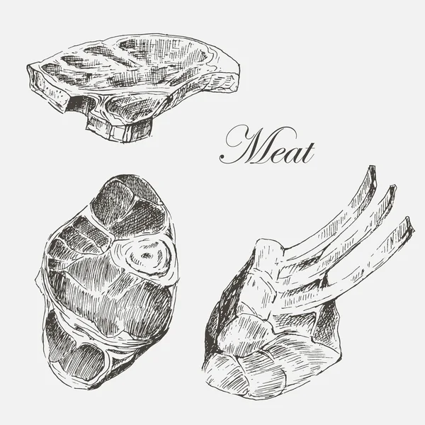 Векторний стейк м'ясна рука малюнок з перцем і розмарином. детальне чорнило харчування ілюстрація — стоковий вектор