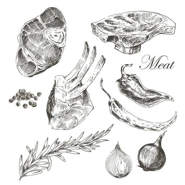 Viande de steak vecteur dessin à la main avec poivre et romarin. illustration détaillée de nourriture encre — Image vectorielle