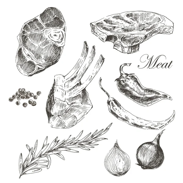 Vetor de carne de bife mão desenho com pimenta e alecrim. ilustração detalhada do alimento da tinta Vetores De Stock Royalty-Free