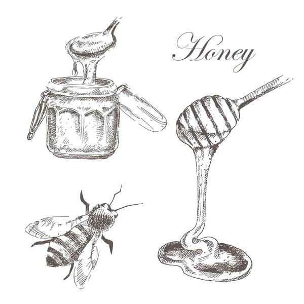 Vector honey, honeycells, honeystick, bee illustration. detailed hand drawn sketch of nature objects — Stock Illustration Vector honey, honeycells, honeystick, bee illustration. detailed hand drawn sketch of nature objects Vector Graphics