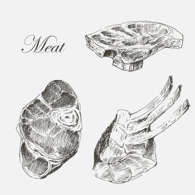 vector steak meat hand drawing with pepper and rosemary. detailed ink food illustration