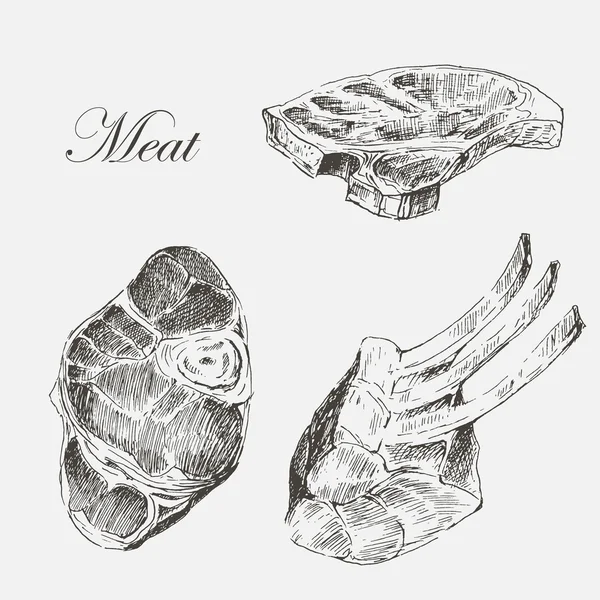 Vector steak meat hand drawing with pepper and rosemary. detailed ink food illustration Stok Illüstrasyon