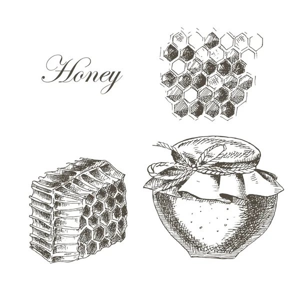 Διανυσματικά μέλι, honeycells, honeystick, μέλισσα εικονογράφηση. συρμένο λεπτομερή χέρι σκίτσο φύσης αντικειμένων — Διανυσματικό Αρχείο