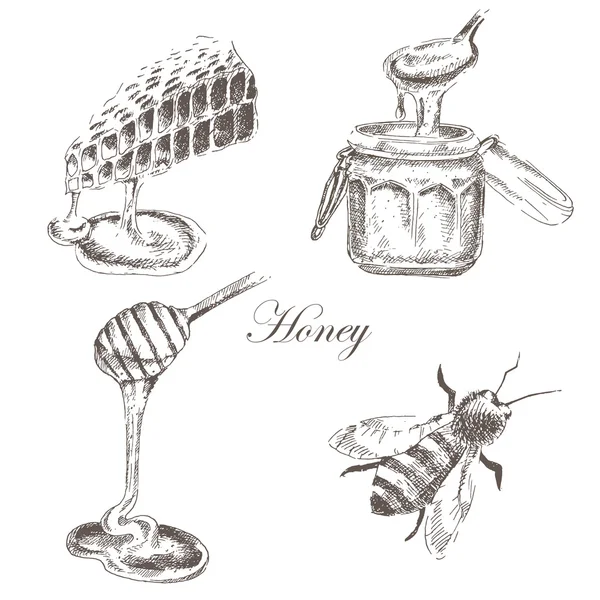 Vector honey, honeycells, honeystick, bee illustration. detailed hand drawn sketch of nature objects — Stock Illustration Vector honey, honeycells, honeystick, bee illustration. detailed hand drawn sketch of nature objects Stock Vector