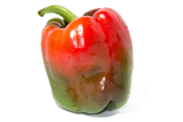 Colored Fresh paprika — Stock Photo, Image