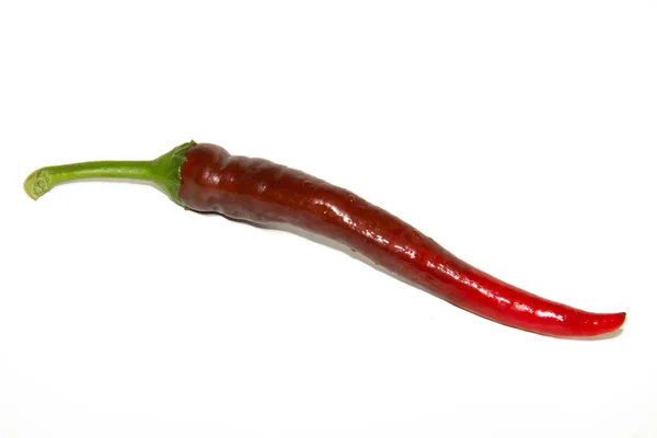 Hot chilli pepper — Stock Photo, Image