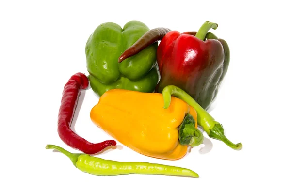 Gekleurde verse paprika en hete peper — Stockfoto