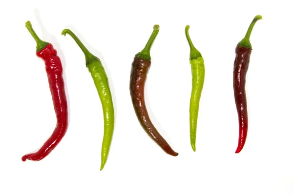 Hot chilli pepper — Stock Photo, Image