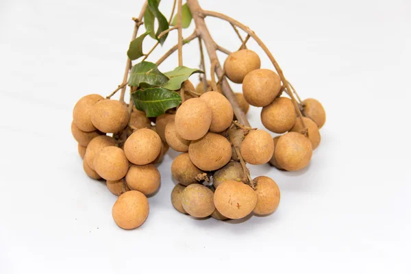 Dimocarpus longan — Photo