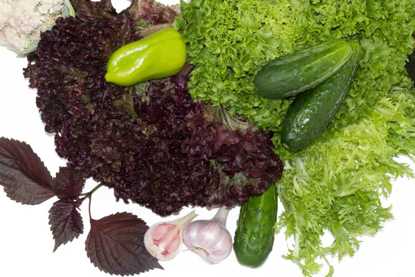 Zöld egészséges zöldség — Stock Fotó