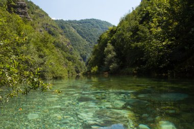 Dağ nehir yeşil orman ortasında