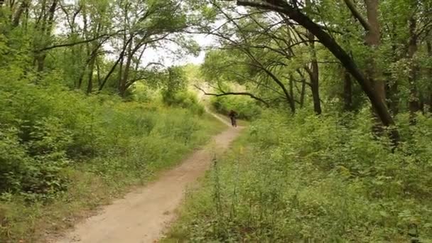 Man riding a mountain bike downhill style video — Stock Video