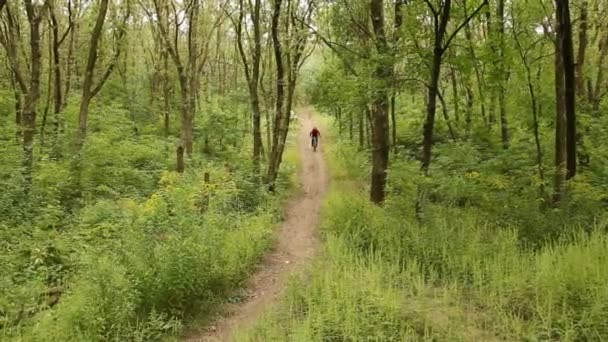 산악 자전거 다운 힐 스타일 비디오를 타고 남자 — 비디오