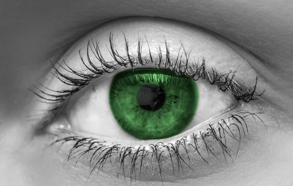 Green eye — Stock Photo, Image