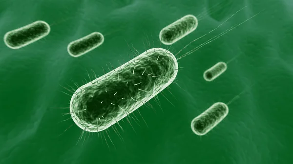 3D illustratie van bacteriën — Stockfoto