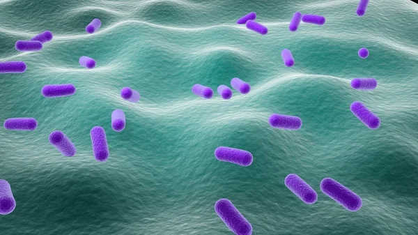 Lactobacillus 3d απεικόνιση — Φωτογραφία Αρχείου