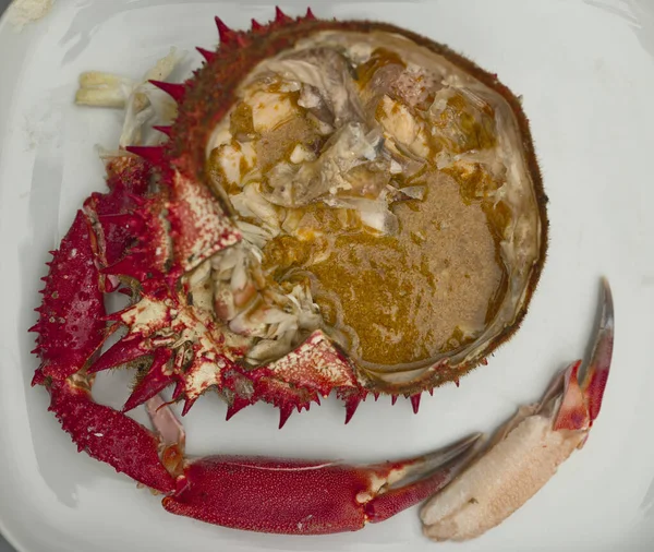 Galiçya haliçlerine yakalanmış erkek örümcek yengeci.