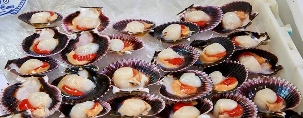 Bir pazarda satılık çeşitli deniz tarakları