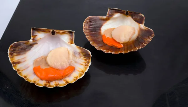 Scallops Estuaries Galicia Shells — Stock Photo, Image