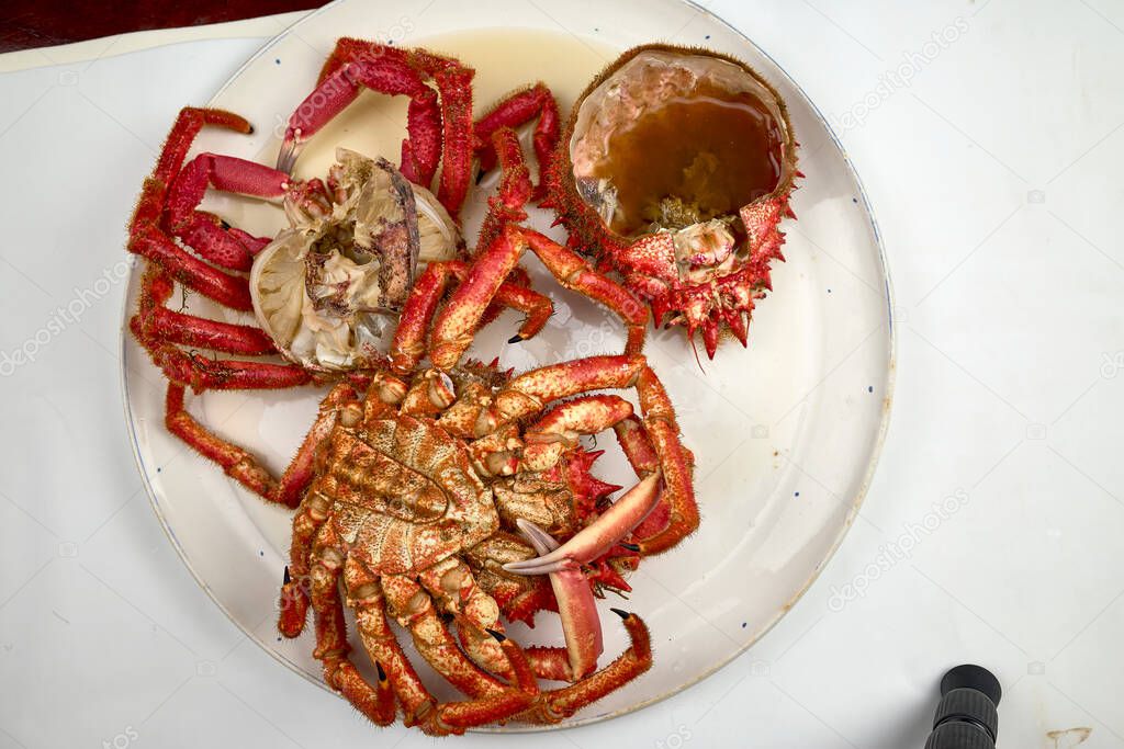 Spider crab from the estuaries of Galicia. This region is one of the world's leading seafood producers