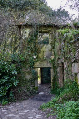 Zengin bir ormanda terk edilmiş ve mahvolmuş bir değirmen.