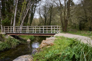 Bereketli bir ormanda, nehrin üzerinde küçük bir köprü.