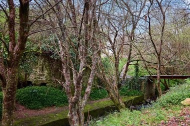Su kanalında birkaç ağaç, eski bir değirmeni ve arka planda bir köprüsü var.