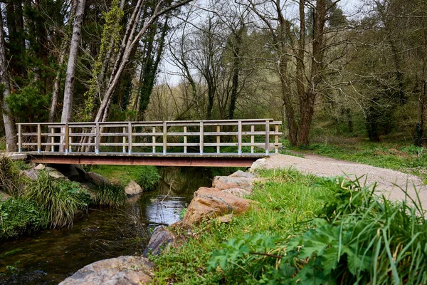 Small bridge over a river in a lush forest