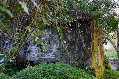 Eski nehir değirmeni yemyeşil ormanların arasında.