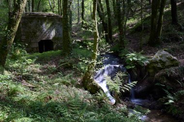 Eski değirmen, terk edilmiş ve harabelerde, deresi olan bir ormanda.