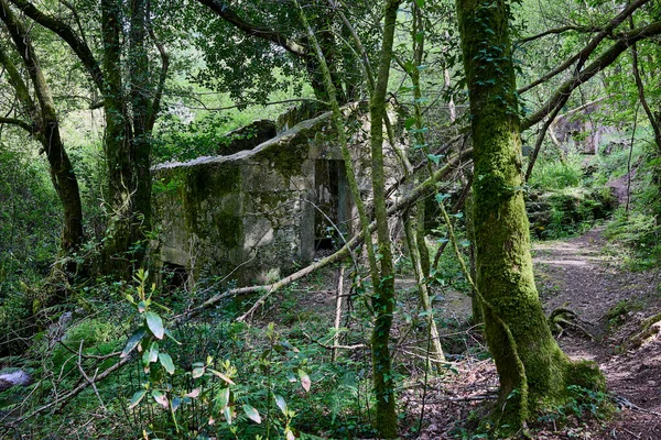 Παλιός Μύλος Εγκαταλελειμμένος Και Ερειπωμένος Ένα Δάσος Ένα Ρυάκι — Φωτογραφία Αρχείου