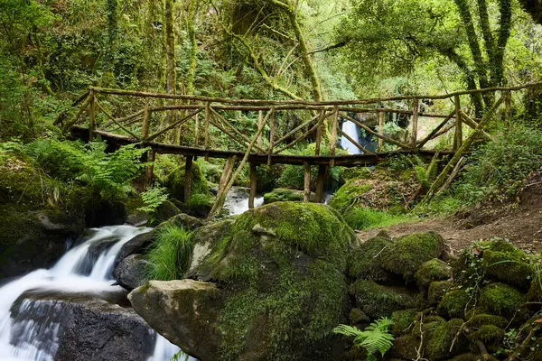 Puente Madera Sobre Río Con Cascada Frondoso Bosque Del Noroeste — Foto de Stock