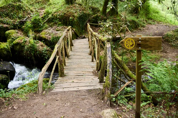 İspanya 'nın kuzeybatısındaki yemyeşil bir ormanda şelaleli bir nehrin üzerindeki ahşap köprü.