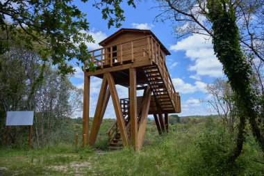 teçhizat, tekerlek, elektrik santrali, nehir, su, enerji, elektrik, ışık, aydınlatma, elektrik akımı, demir, çelik, diş, çark, demir, demir, erimesi, metalurji, sanayi, metalik, teknik, teknoloji, mühendislik, mühendislik