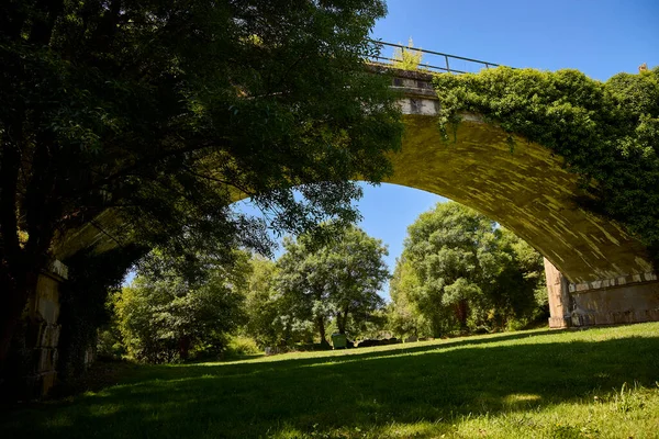 Pont Ferroviaire Sur Une Prairie Verte — Photo