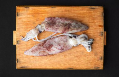 Tahtadaki çeşitli mürekkep balıkları.