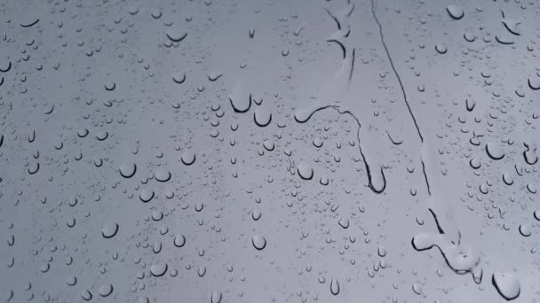ガラス窓に雨が降り — ストック動画
