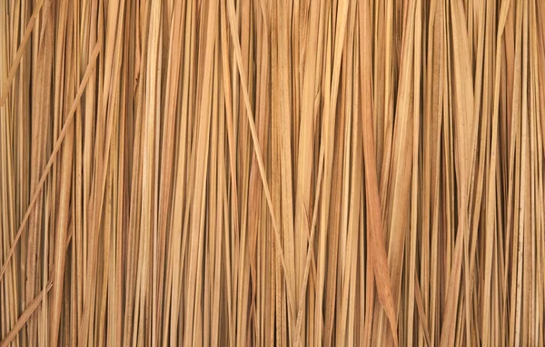 Száraz fű, Imperata cylindrica előírják — Stock Fotó