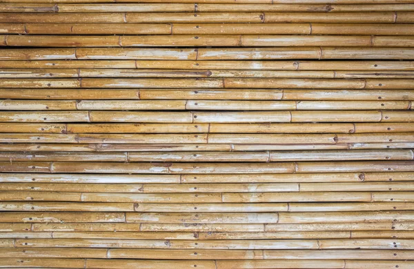 Old bamboo trunk background — Stock Photo, Image