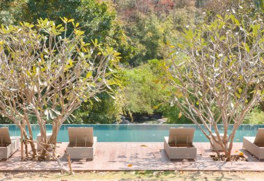 Ormanın içinde Yüzme Havuzu