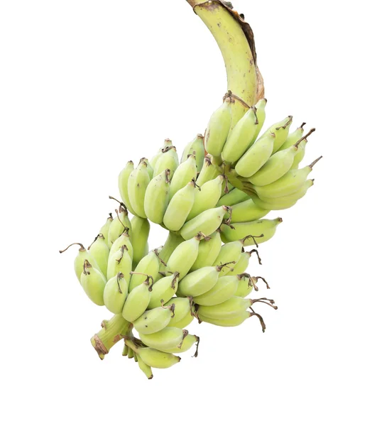Termesztett banán — Stock Fotó