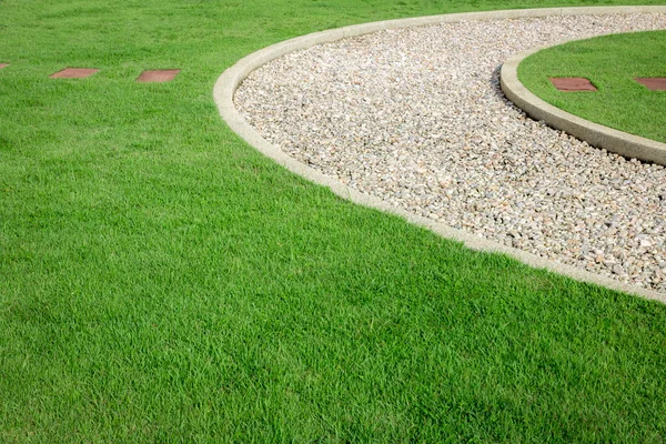 Field green grass and white stone — Stock Photo, Image