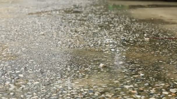 Regen druppel op de betonnen vloer — Stockvideo