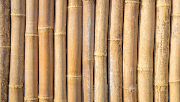 Вертикальный бамбуковый фон — стоковое фото