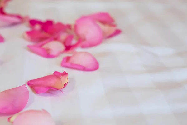 Ροζ ροδοπέταλα στο λευκό κλωστοϋφαντουργίας — Φωτογραφία Αρχείου