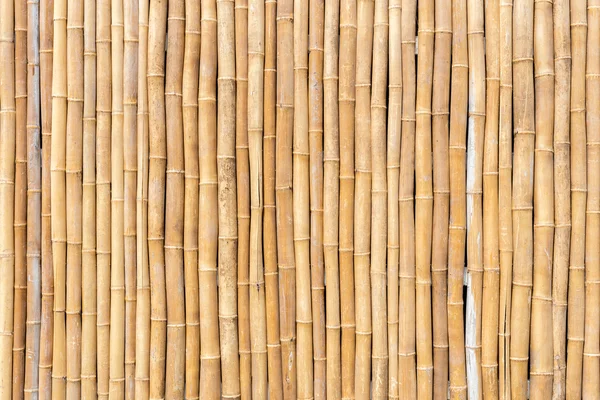 Vertikális bambusz háttér — Stock Fotó