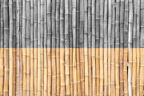 Vertical bamboo background — Stock Photo, Image